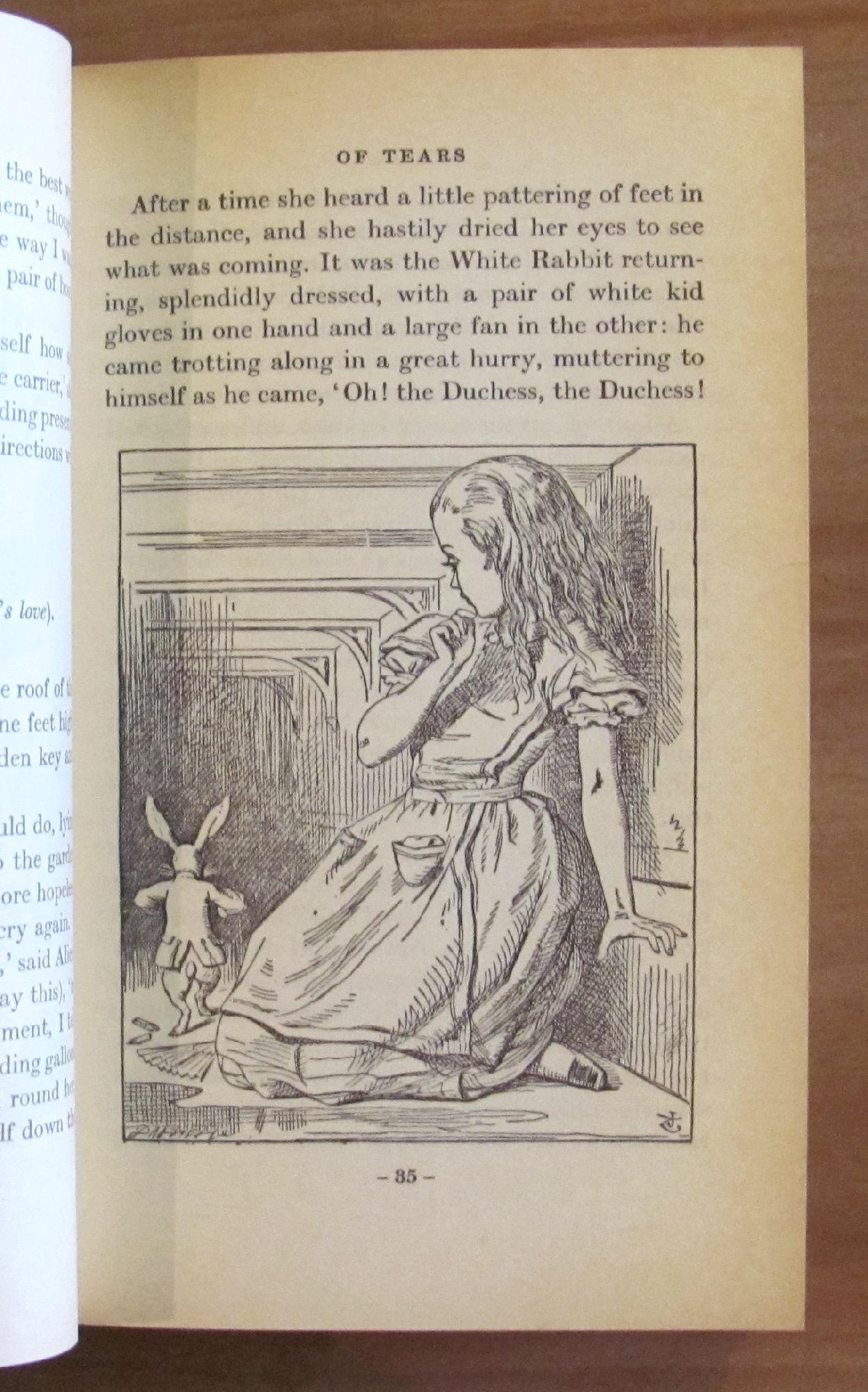 Alice'S Adventures In Wonderland - Through The Looking Glass