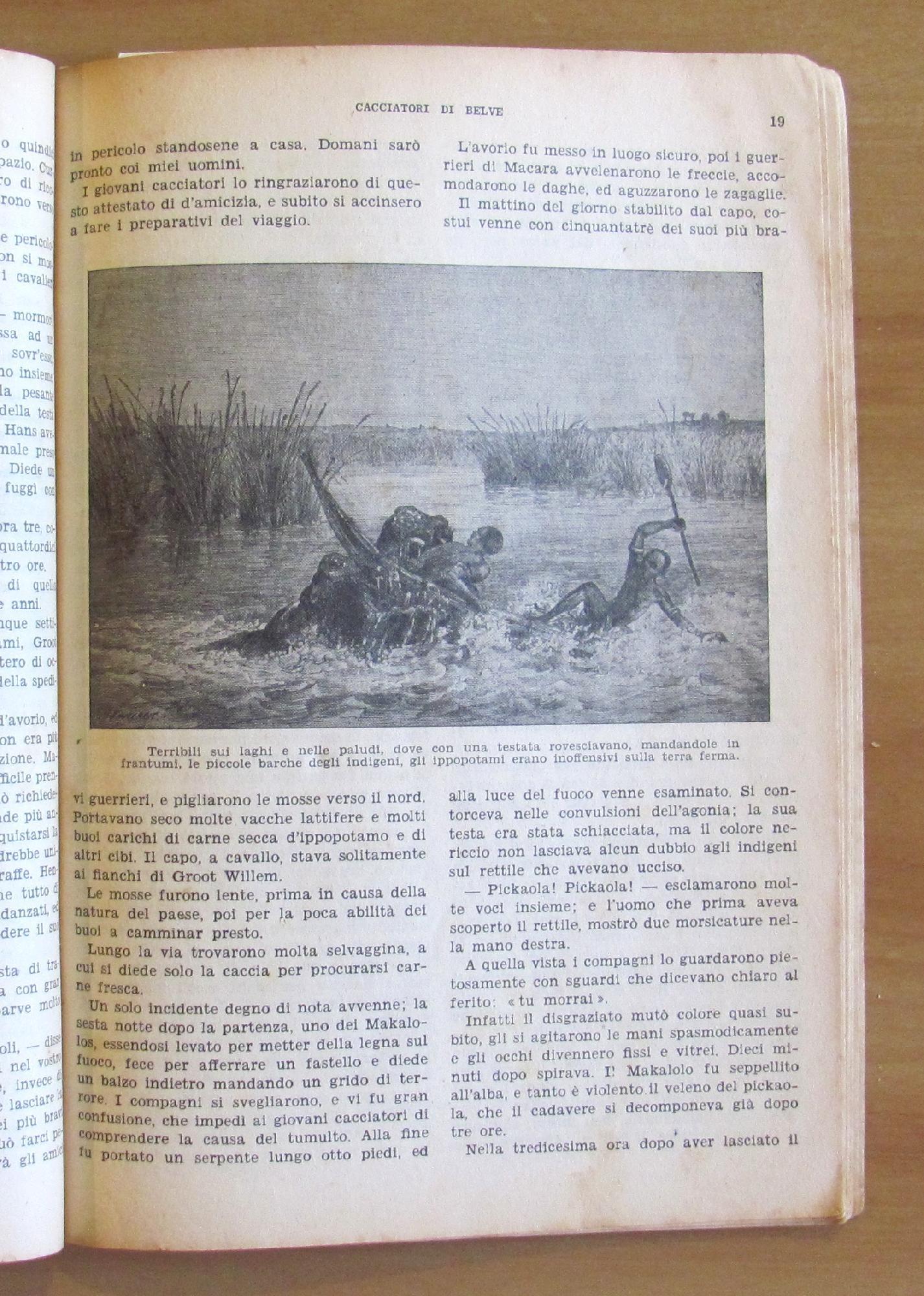 L'angolo del collezionista