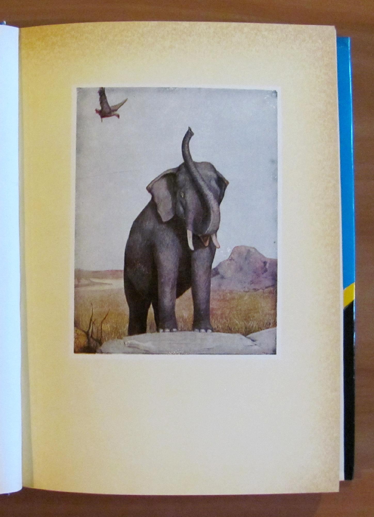 Il Secondo Libro Della Jungla - Coll. Corticelli - Ill. Bernardini E Vagaggini