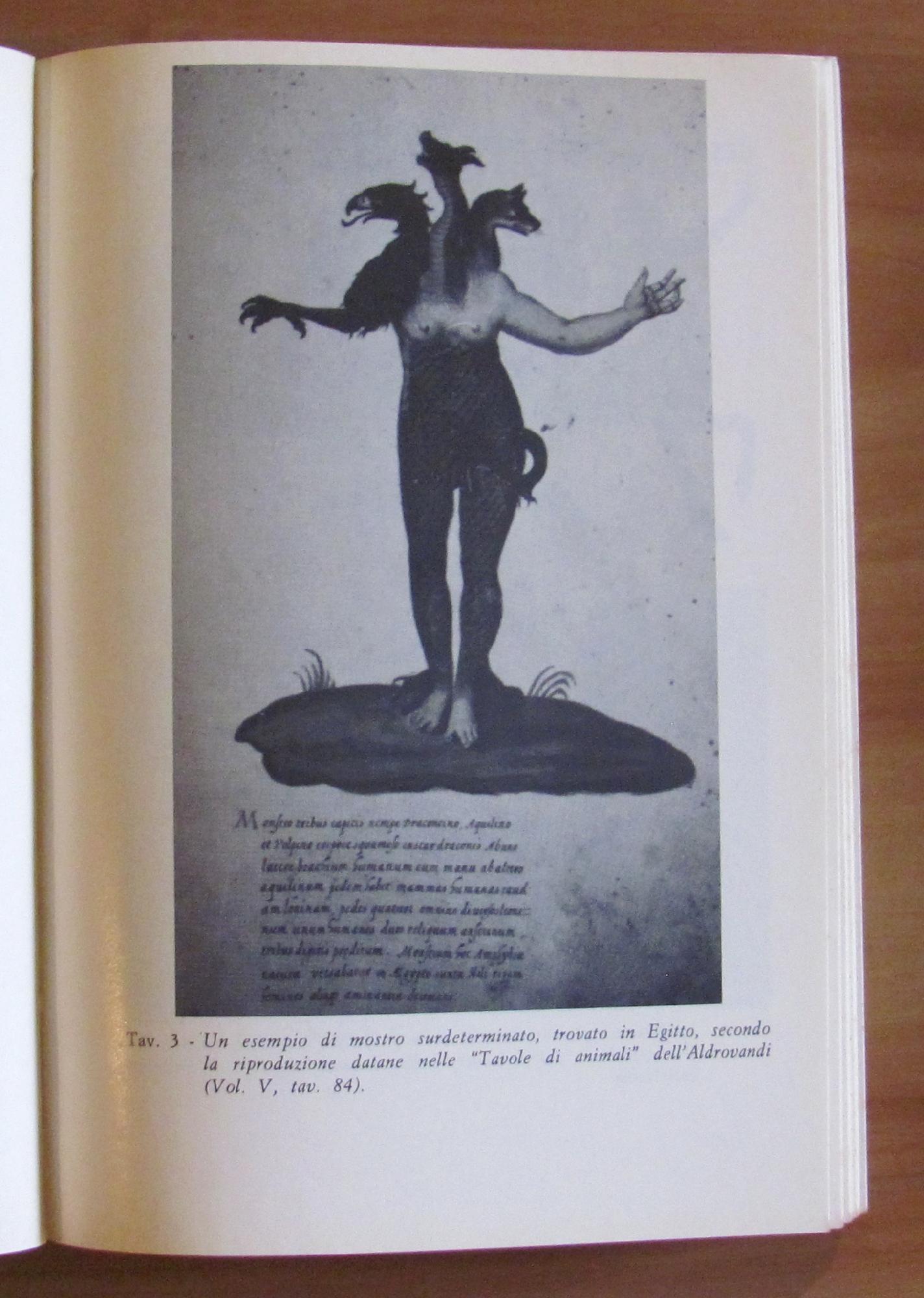 I Mostri E L'Immaginario - I Ed. 1982