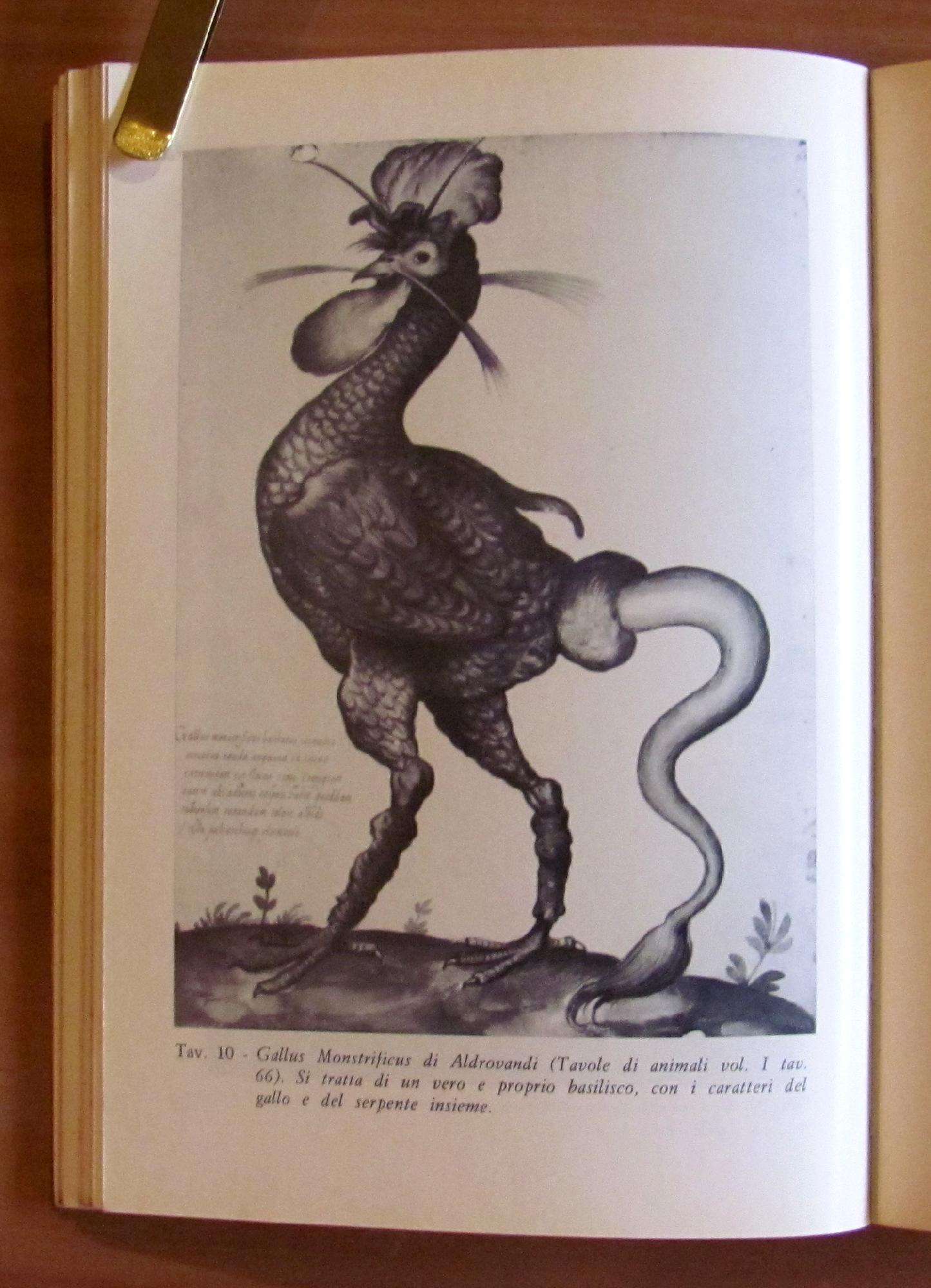 I Mostri E L'Immaginario - I Ed. 1982