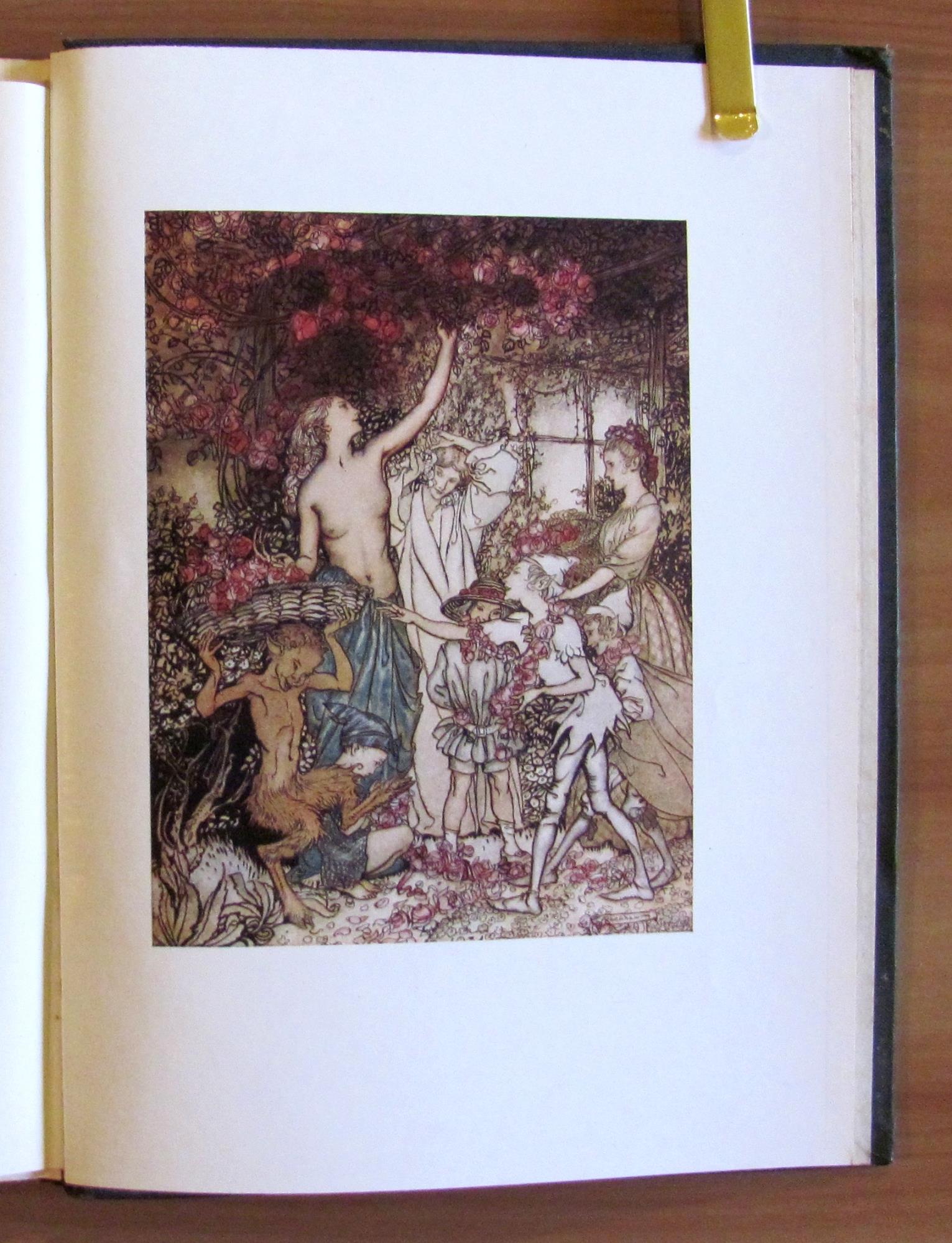 THE SPRINGTIDE OF LIFE - Poems of childhood, I ed. 1918 - ill. RACKHAM