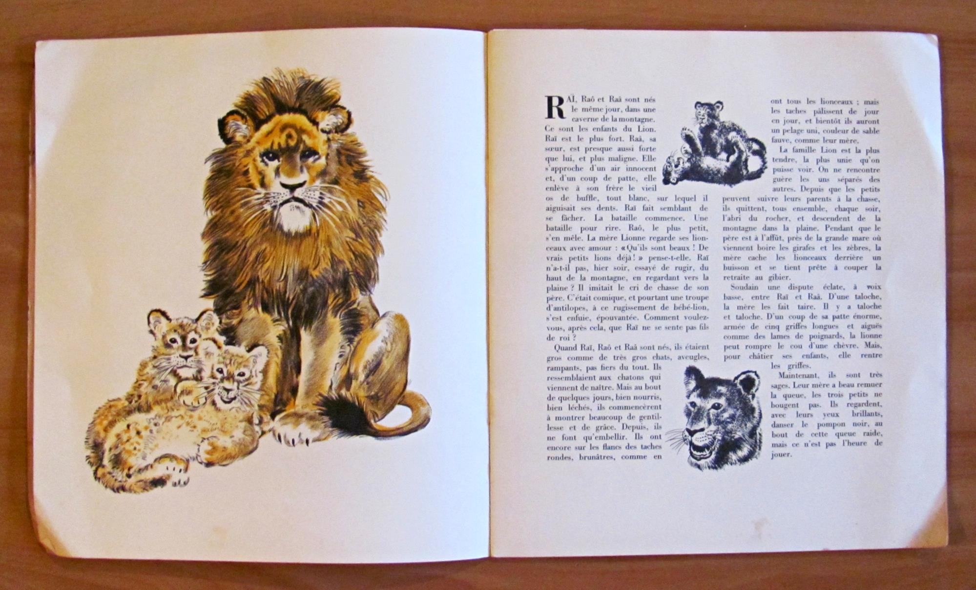 L'angolo del collezionista