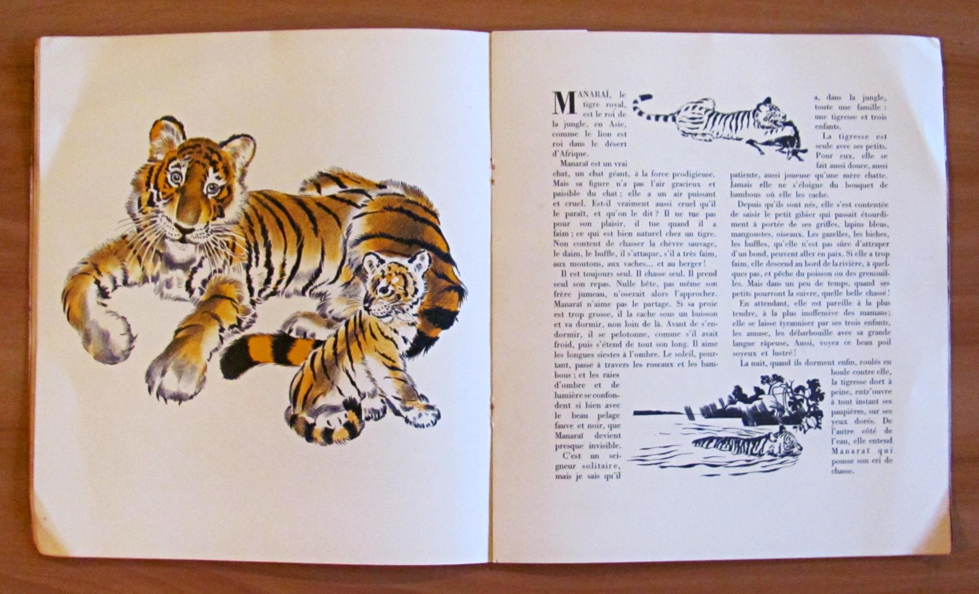 LES PETITS ET LES GRANDS - Albums du Père Castor