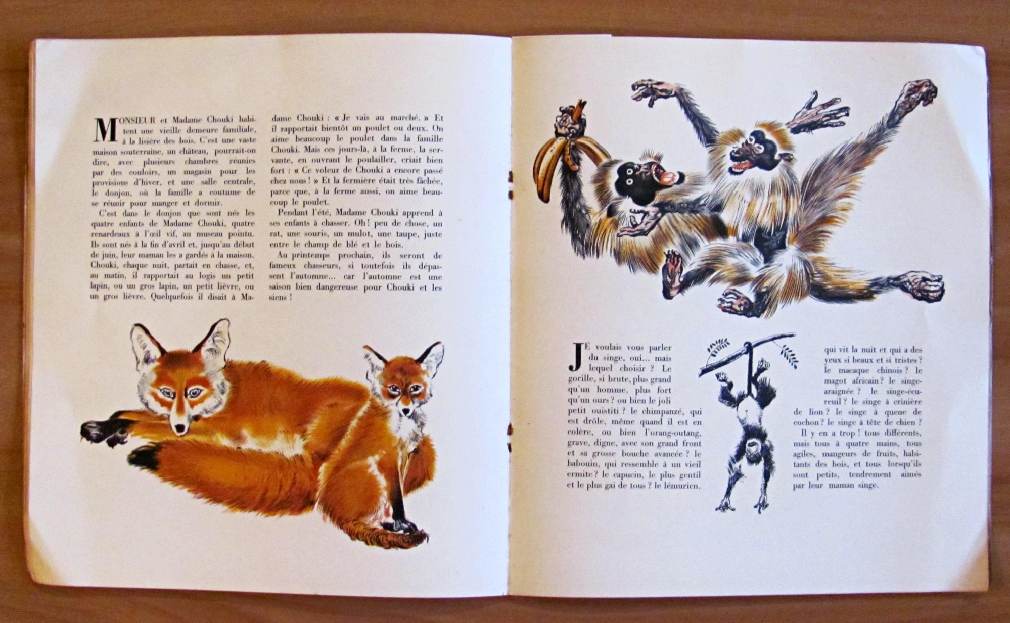 LES PETITS ET LES GRANDS - Albums du Père Castor