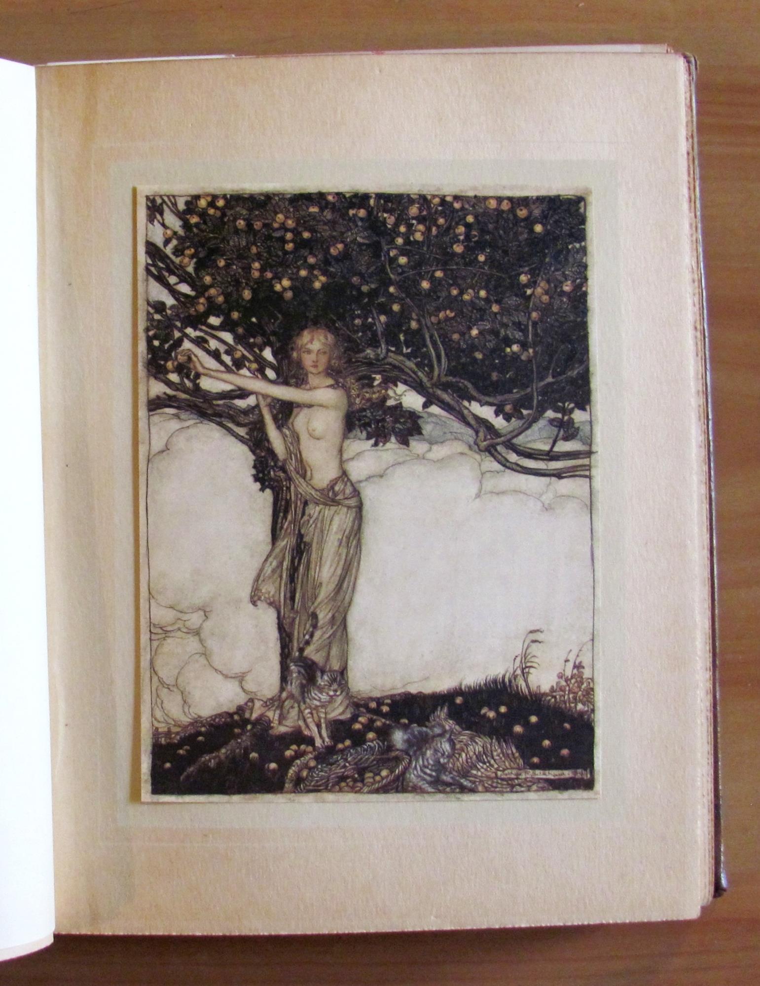 L' OR DU RHIN et LA VALKYRIE - Hachette, s.d. 1911 - ill. RACKHAM