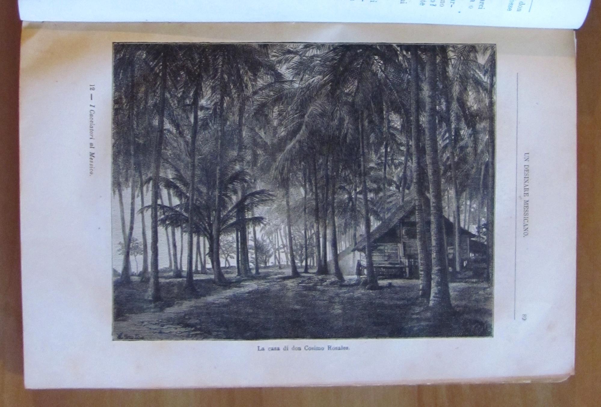 I CACCIATORI AL MESSICO - Avventure di Terra e di Mare, I ed. 1878