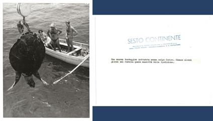 FOTO per SESTO CONTINENTE di FOLCO QUILICI - Cattura di una TESTUGGINE Timbri - copertina
