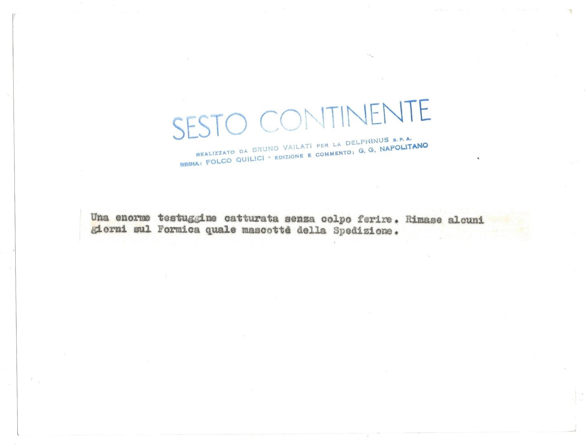 FOTO per SESTO CONTINENTE di FOLCO QUILICI - Cattura di una TESTUGGINE Timbri