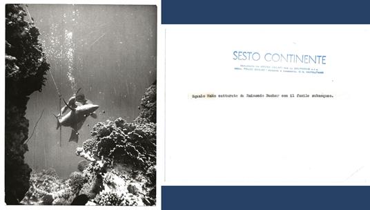FOTO per SESTO CONTINENTE - Raimondo BUCHER cattura Squalo Mako con Timbri - copertina