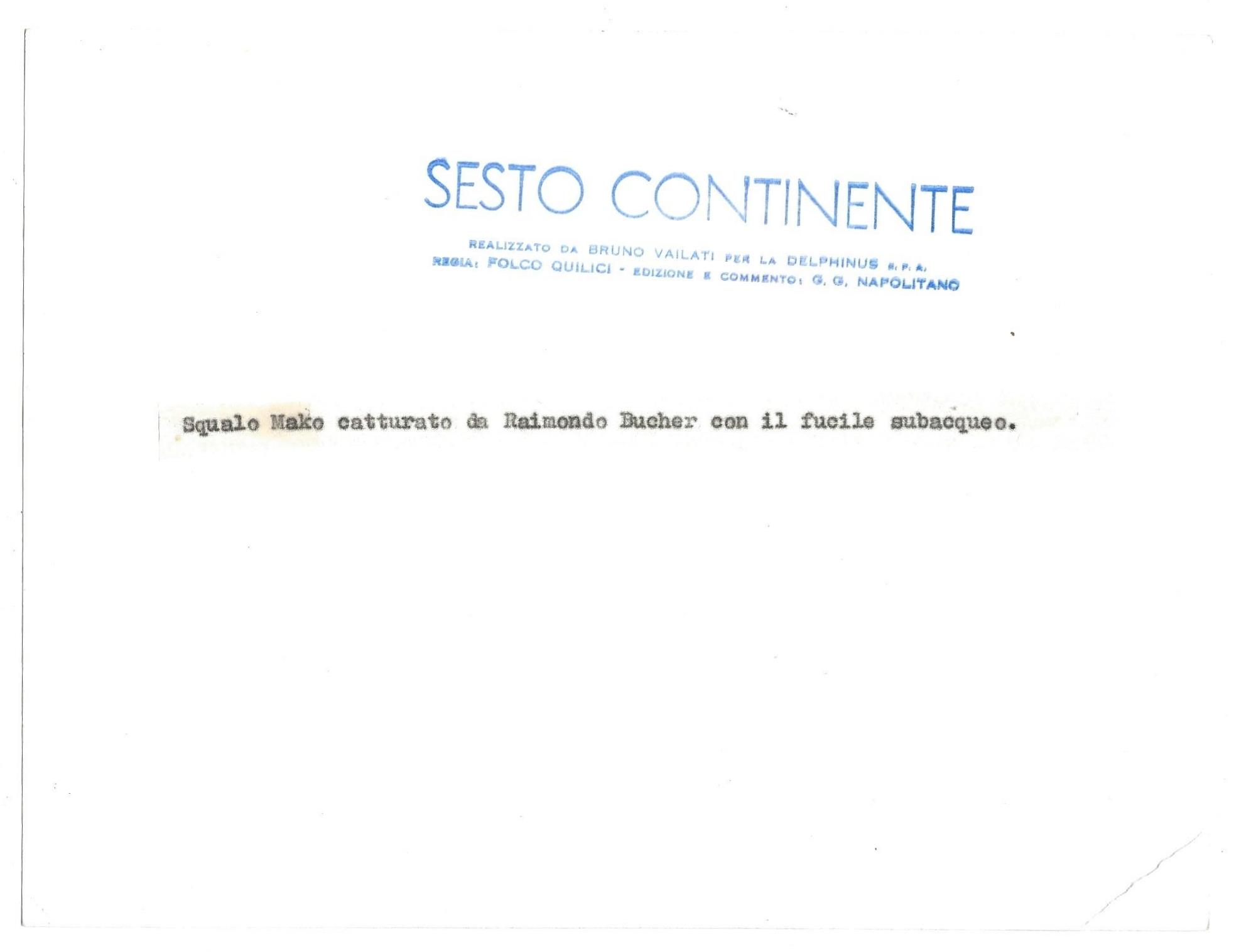 FOTO per SESTO CONTINENTE - Raimondo BUCHER cattura Squalo Mako con Timbri