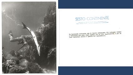 FOTO per SESTO CONTINENTE - Barracuda catturato con fucile subacqueo con Timbri - copertina