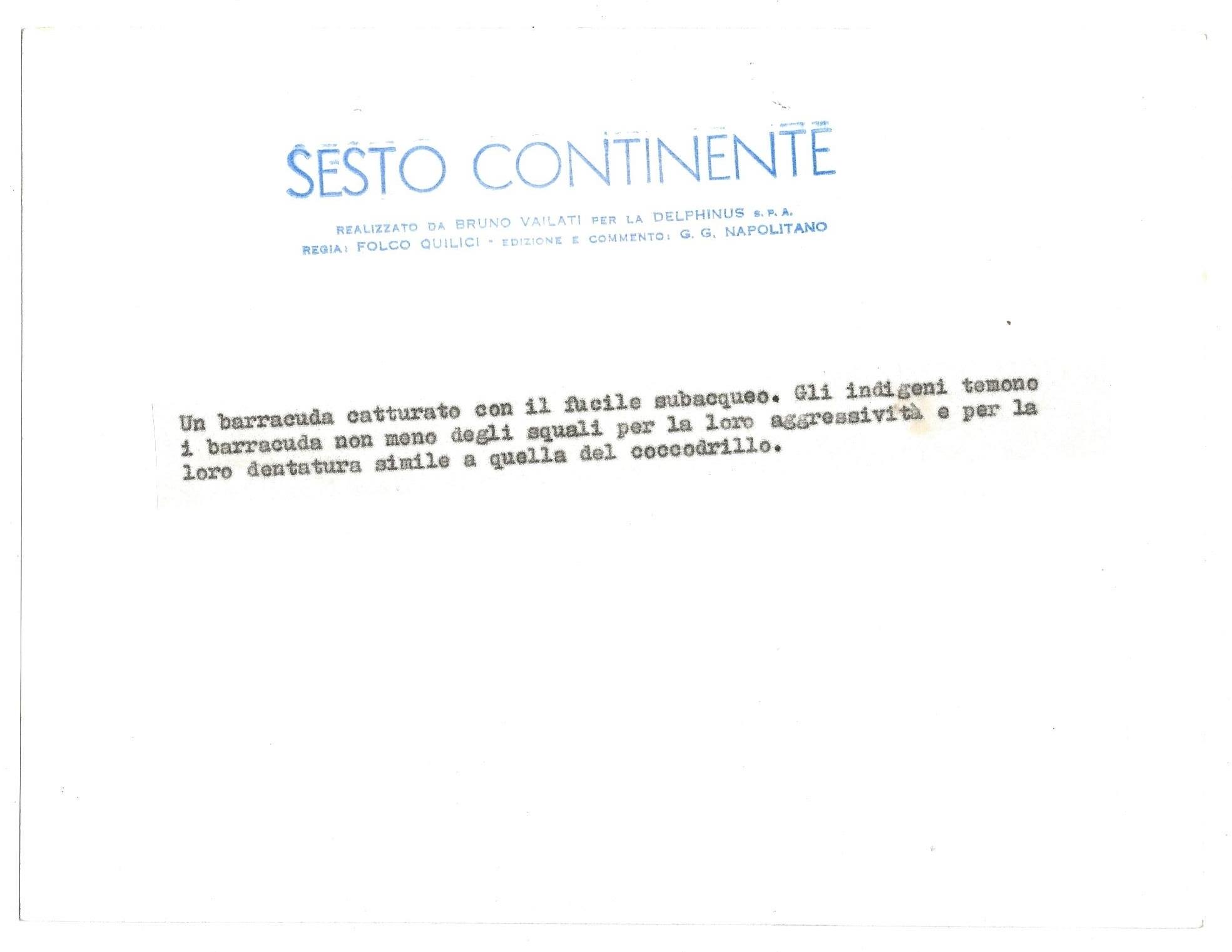 FOTO per SESTO CONTINENTE - Barracuda catturato con fucile subacqueo con Timbri