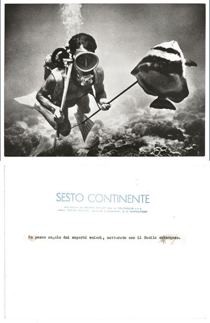 FOTO per SESTO CONTINENTE - Pesce Angelo catturato con fucile subacqueo con Timbri - copertina