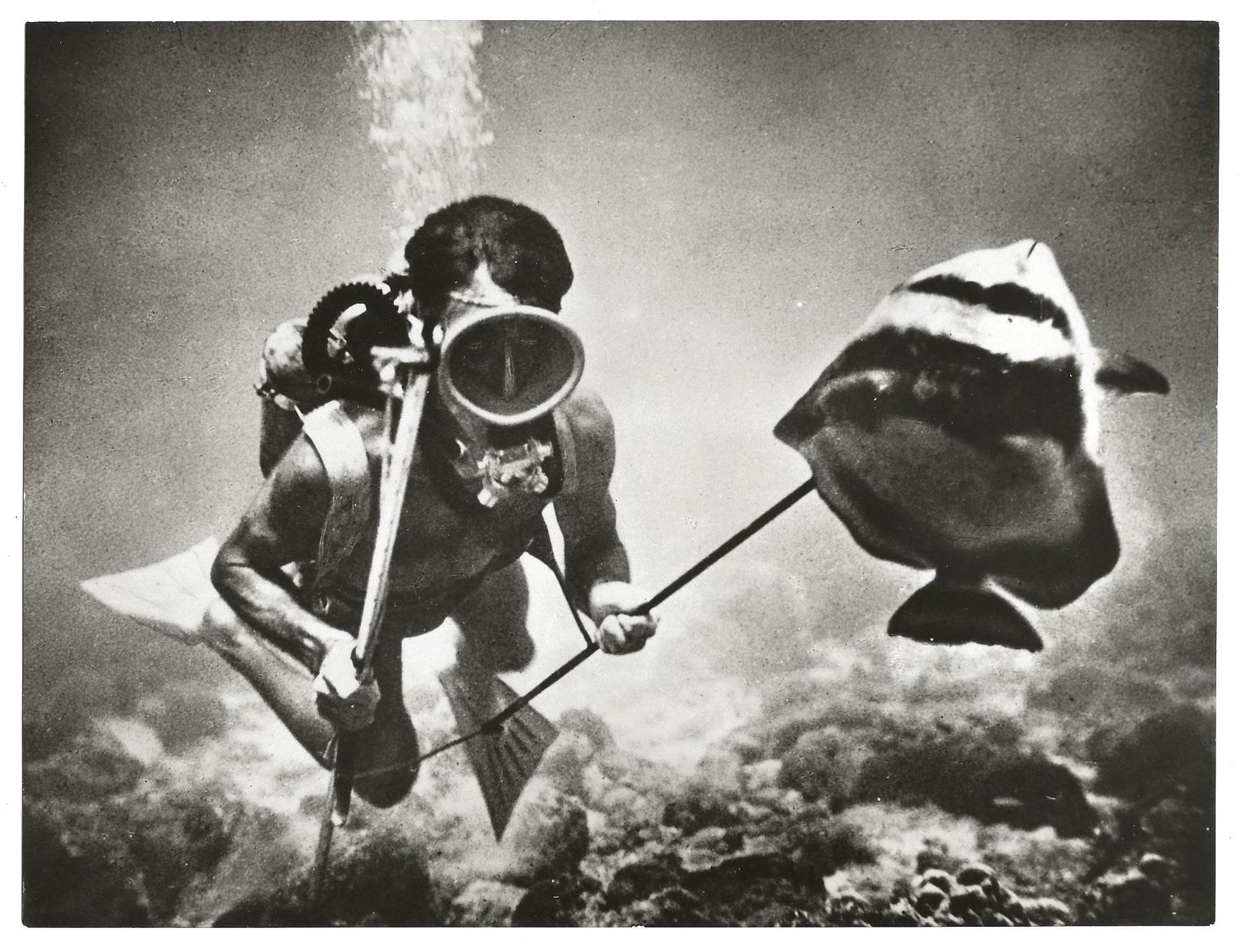 L'angolo del collezionista