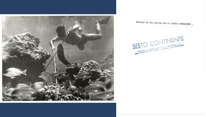FOTO per SESTO CONTINENTE - Cattura di Murena (QUILICI) con fucile subacqueo - copertina