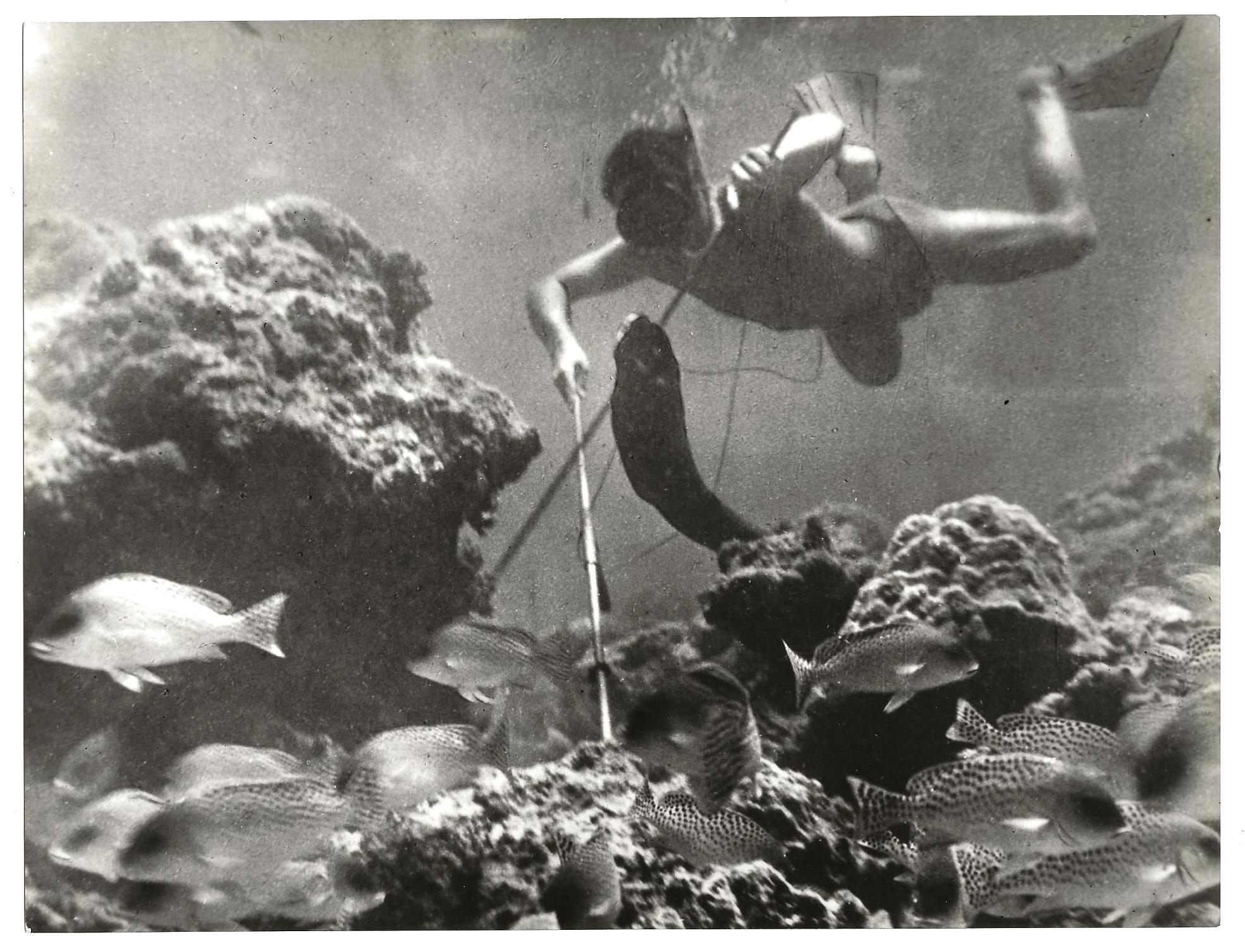 L'angolo del collezionista