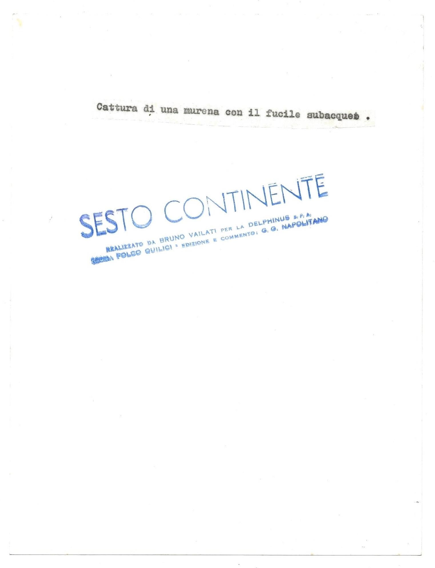 FOTO per SESTO CONTINENTE - Cattura di Murena (QUILICI) con fucile subacqueo