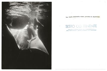 FOTO per SESTO CONTINENTE - Una Manta arpionata da VAILATI (?) con Timbri - copertina