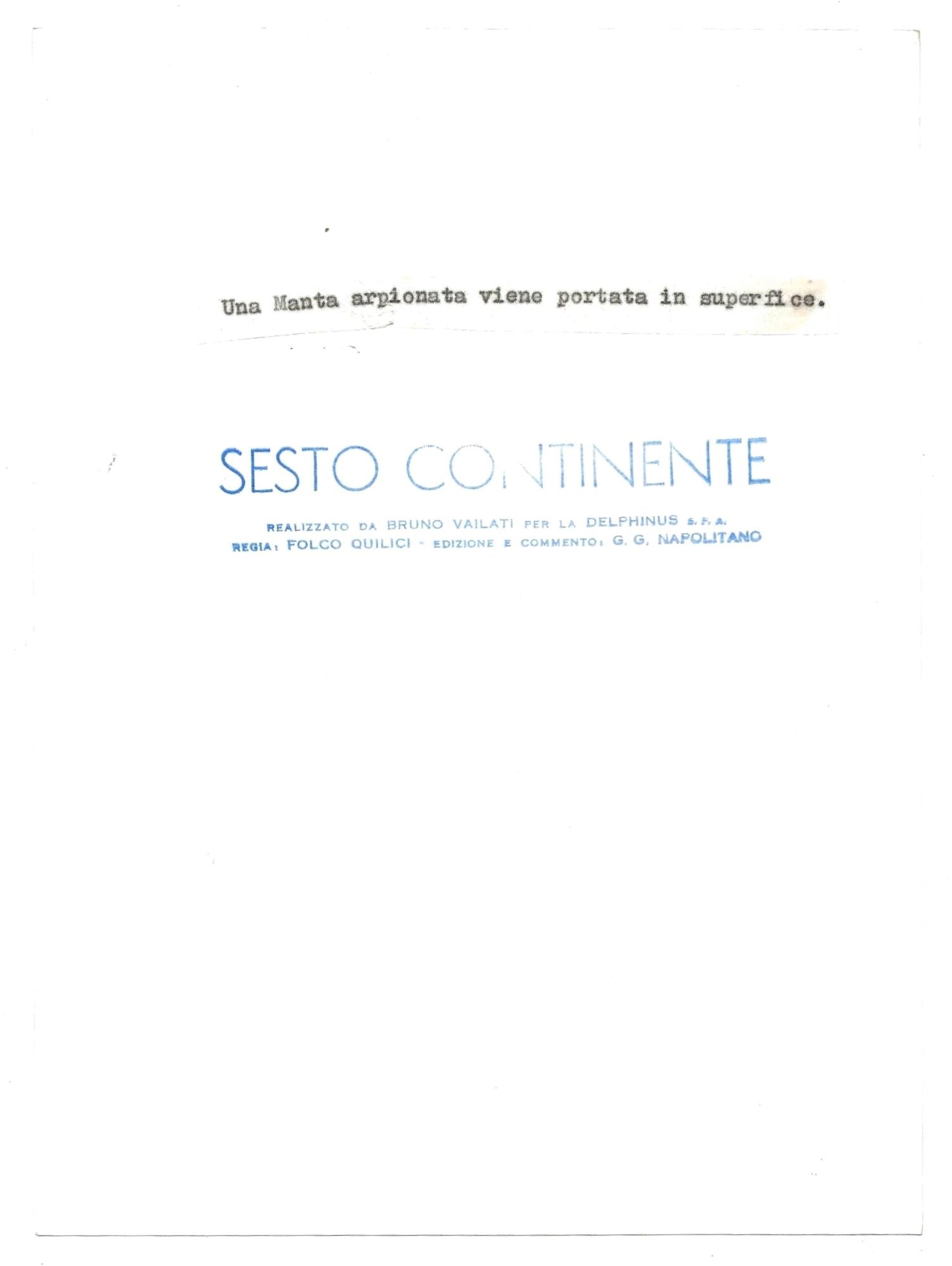 FOTO per SESTO CONTINENTE - Una Manta arpionata da VAILATI (?) con Timbri