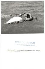 FOTO per SESTO CONTINENTE Una grossa Manta o Diavolo rimorchiata a bordo con Timbri