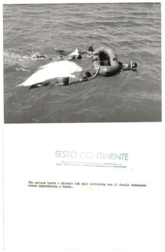 FOTO per SESTO CONTINENTE Una grossa Manta o Diavolo rimorchiata a bordo con Timbri - copertina