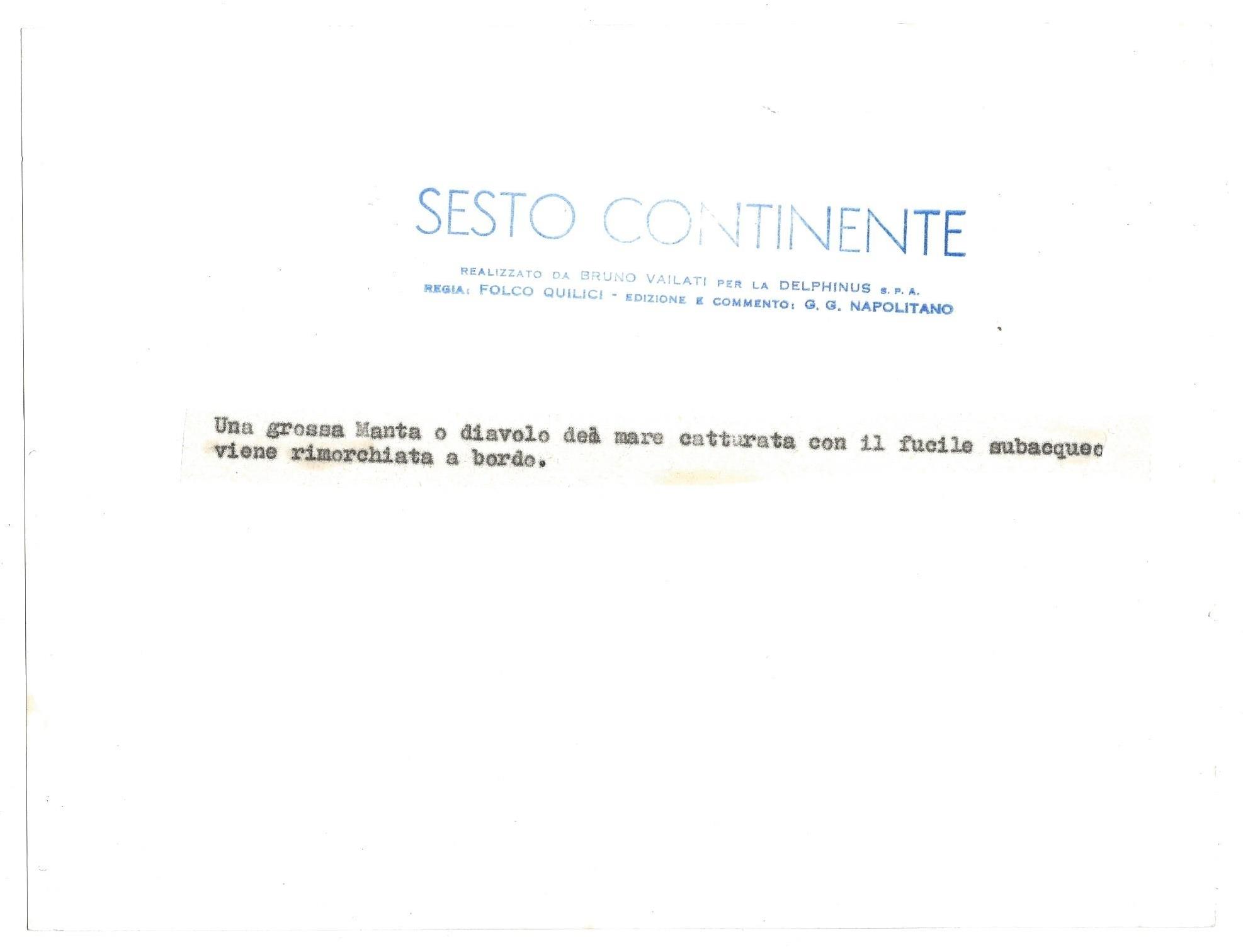 FOTO per SESTO CONTINENTE Una grossa Manta o Diavolo rimorchiata a bordo con Timbri