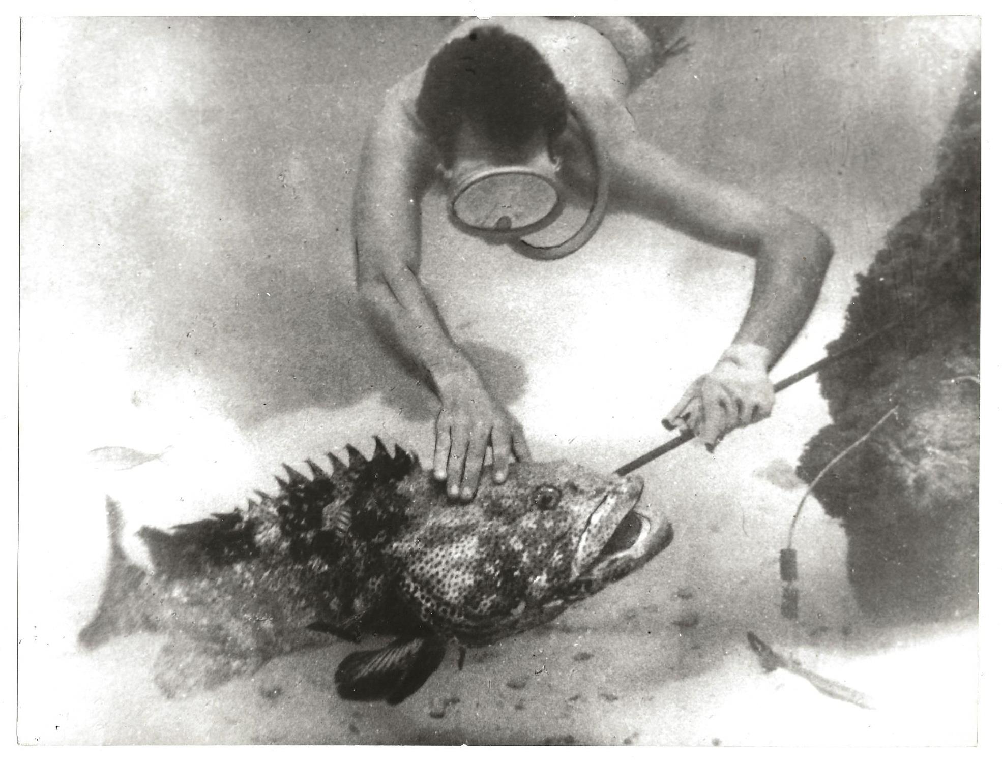 L'angolo del collezionista