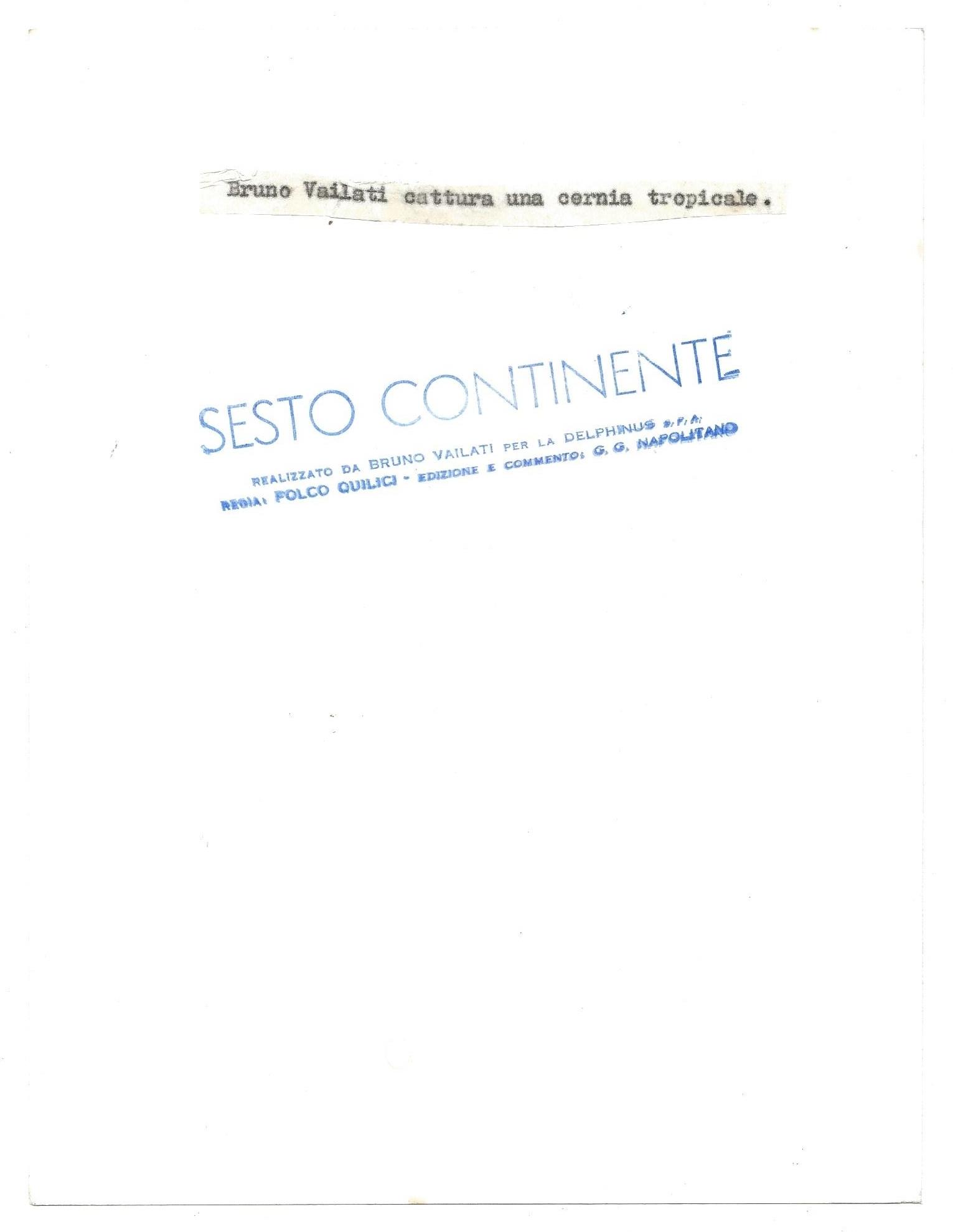 FOTO per SESTO CONTINENTE - Bruno VAILATI cattura Cernia tropicale con Timbri