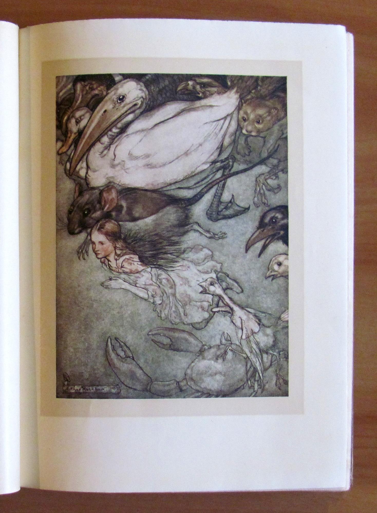 L'angolo del collezionista