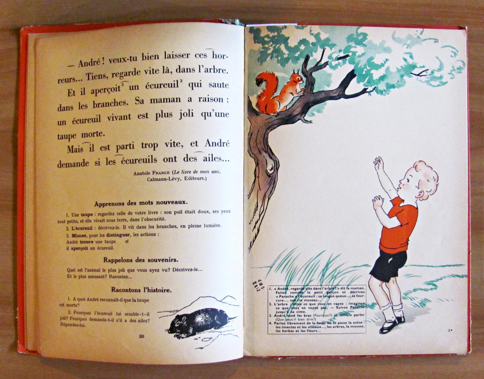 LES ENFANTS ET LES BETES - Livre de Lecture Courante - ill. RAPENO