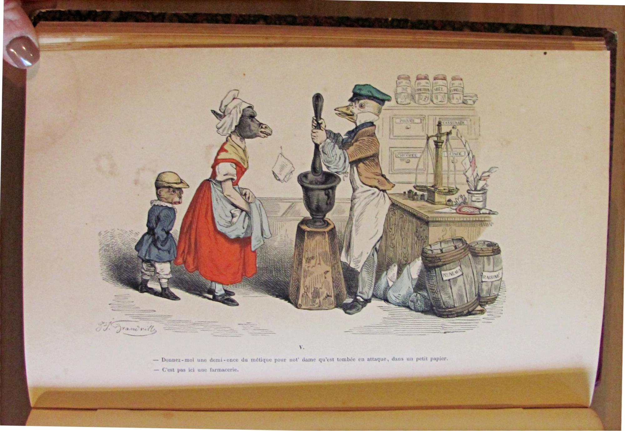 LES METAMORPHOSES DU JOUR par GRANDVILLE, 1869