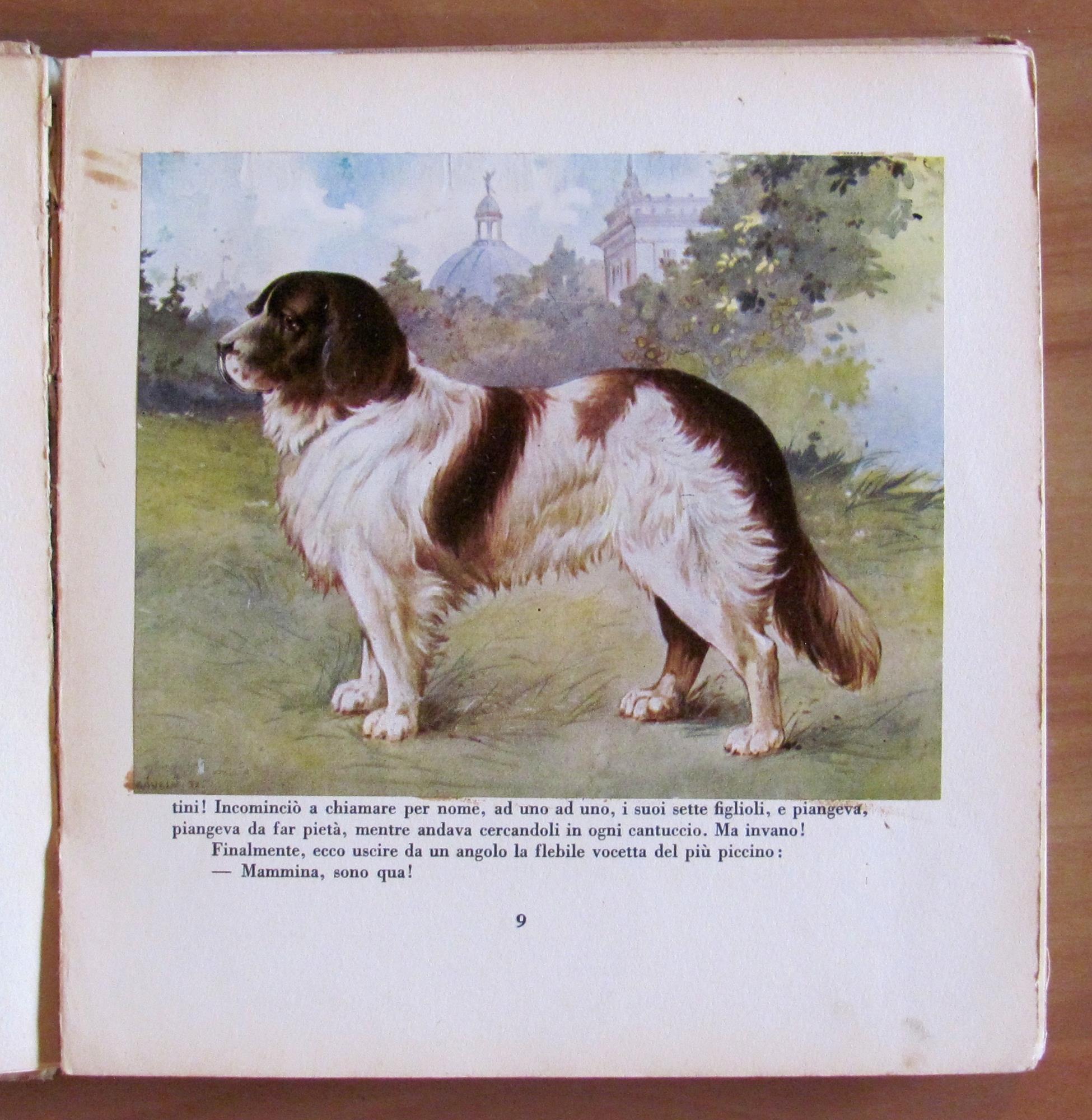 LE BESTIE RACCONTANO, I ed, 1934 ill. SAVELY