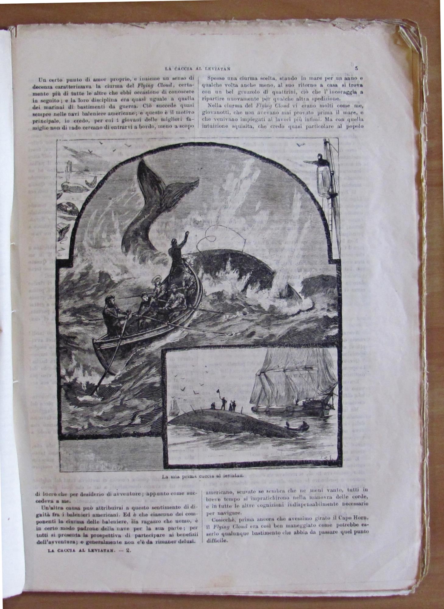 LA CACCIA AL LEVIATAN - Avventure marinaresche, 1882