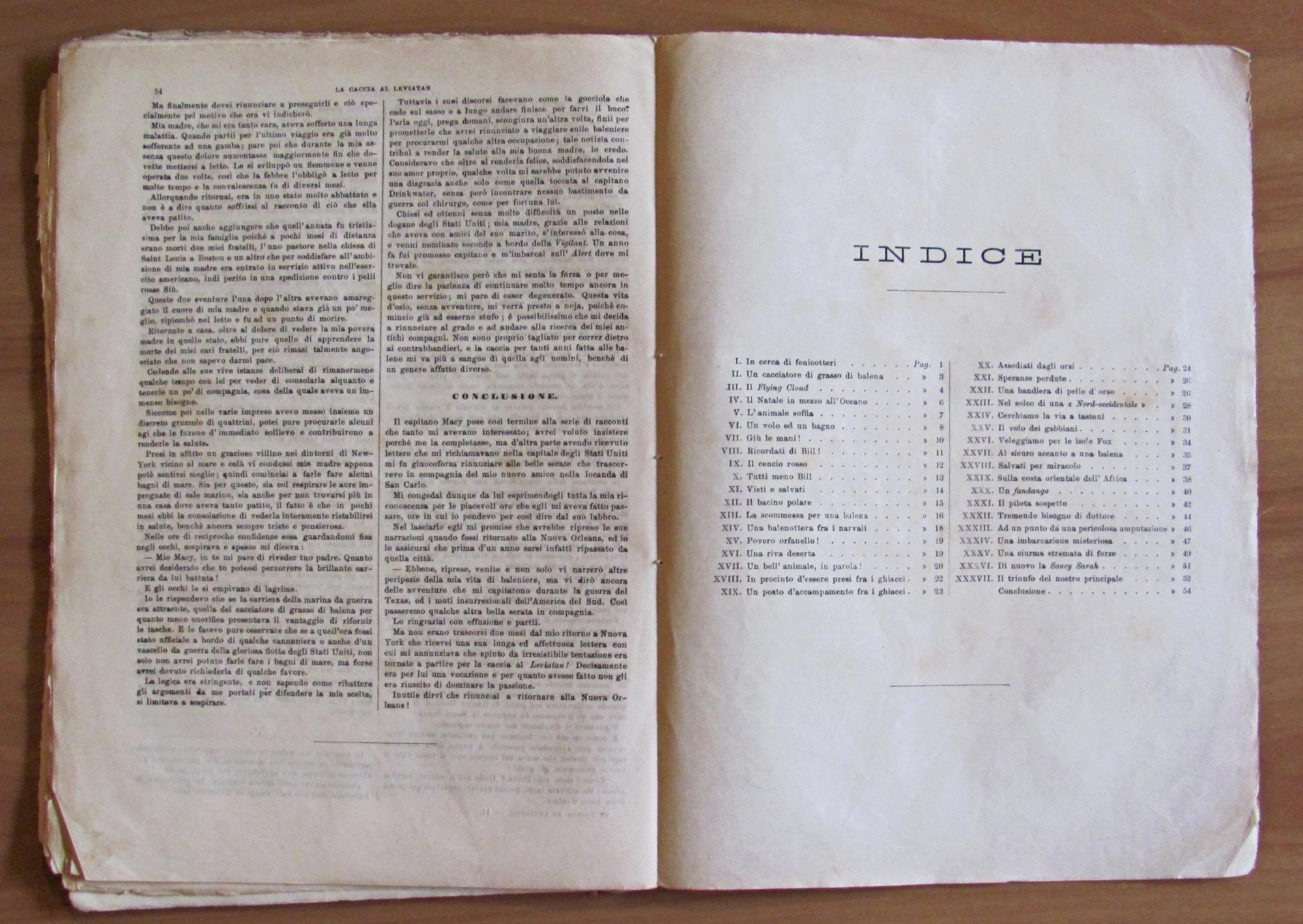 LA CACCIA AL LEVIATAN - Avventure marinaresche, 1882