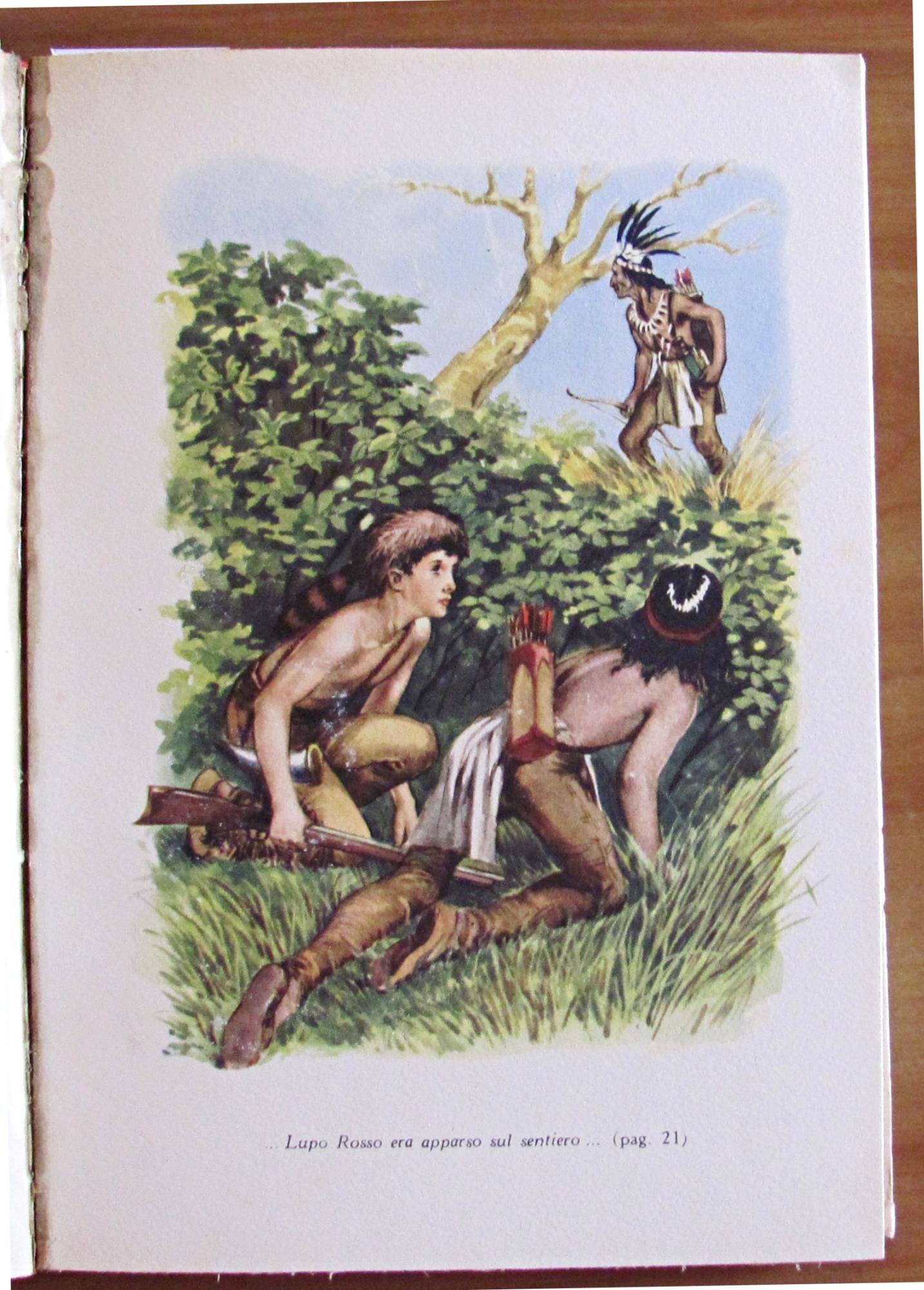 L'angolo del collezionista