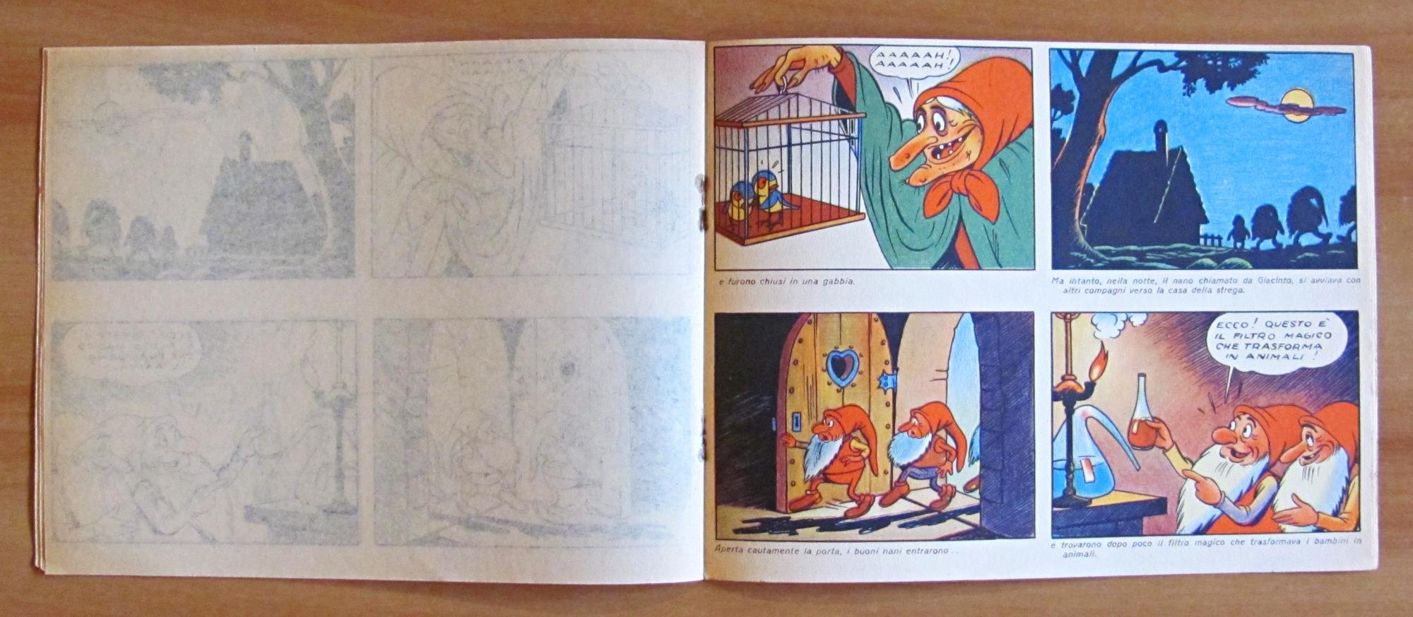 LA VECCHINA DEL BOSCO - ill. SGRILLI - Album da colorare