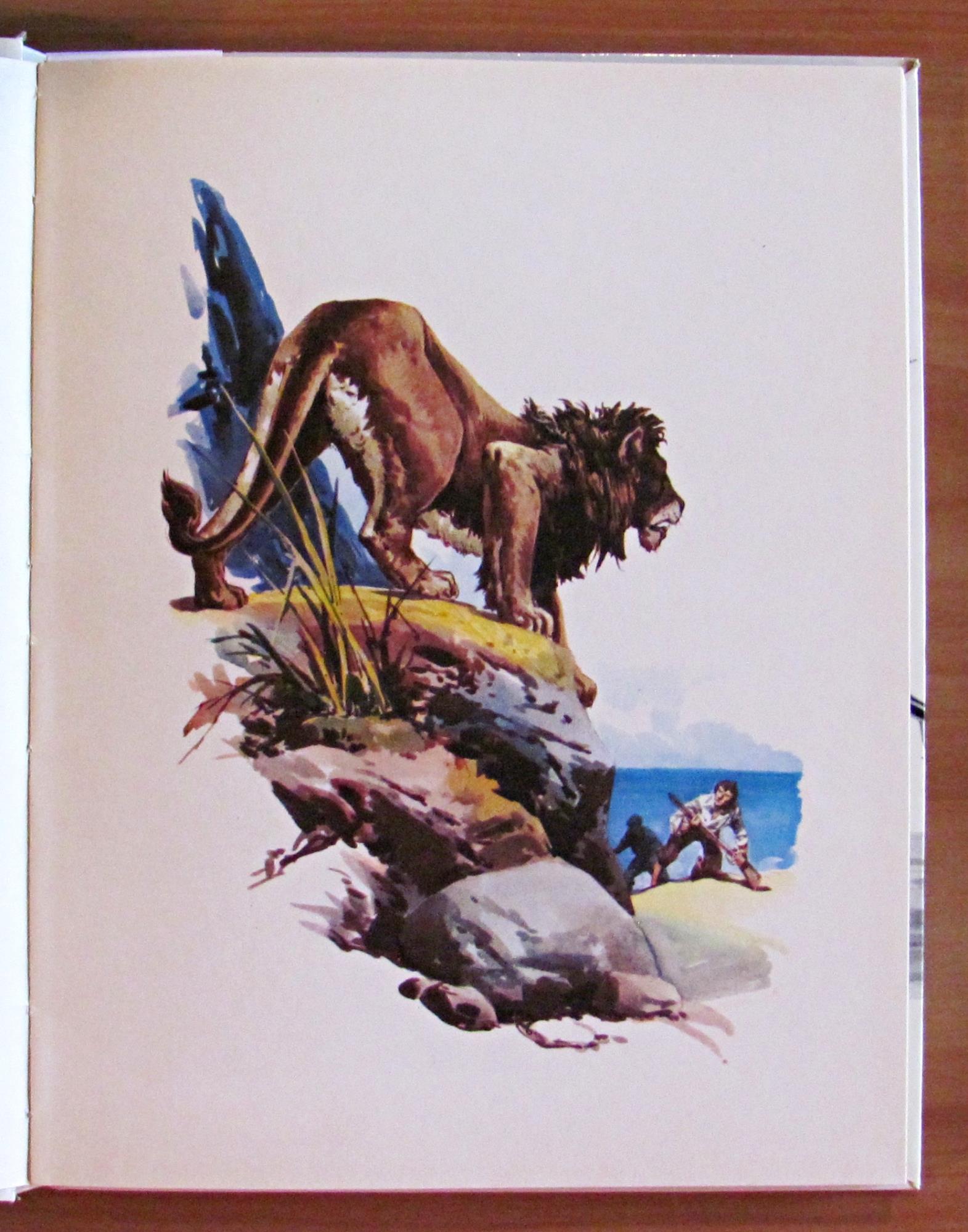 L'angolo del collezionista