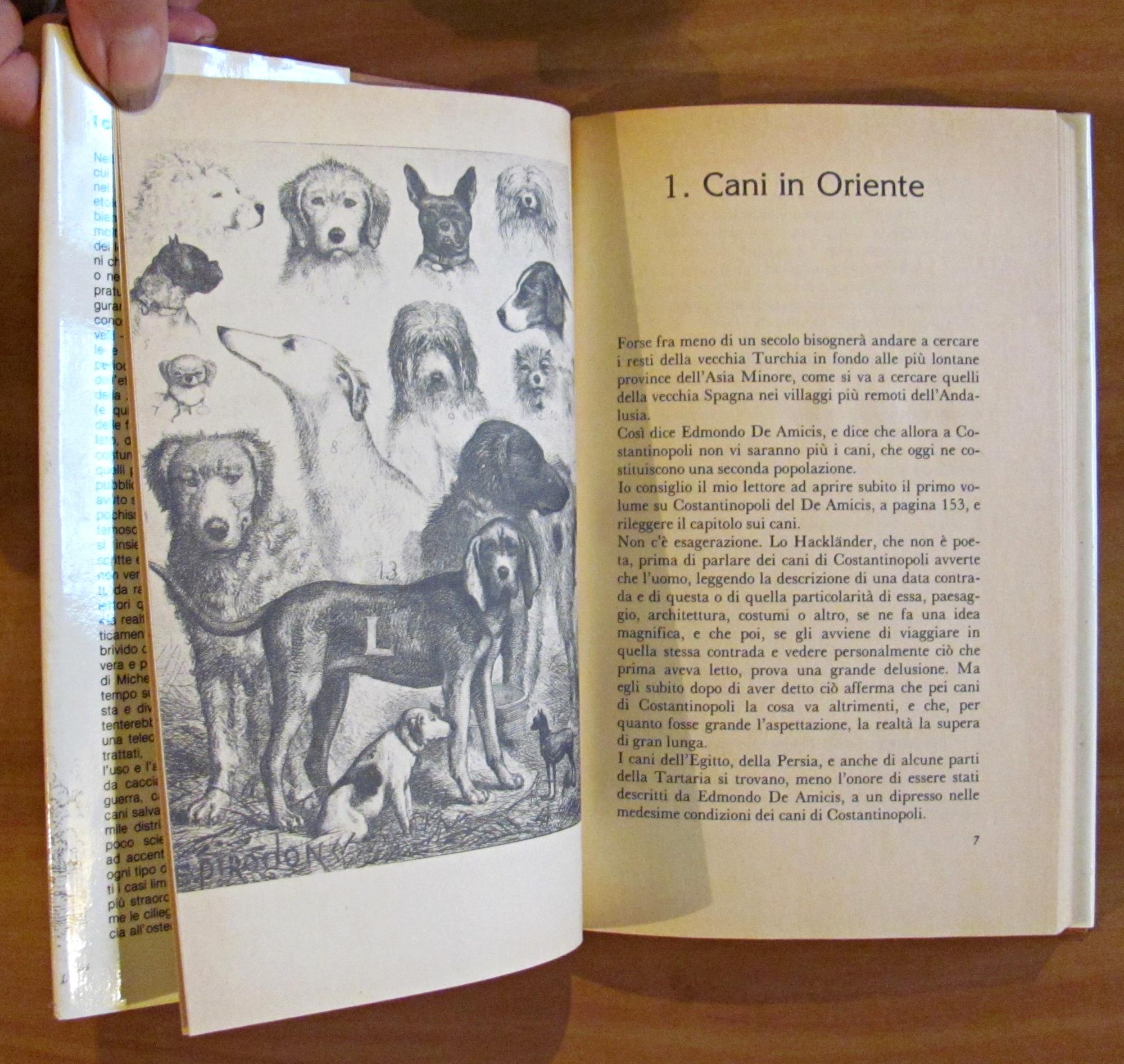 L'angolo del collezionista