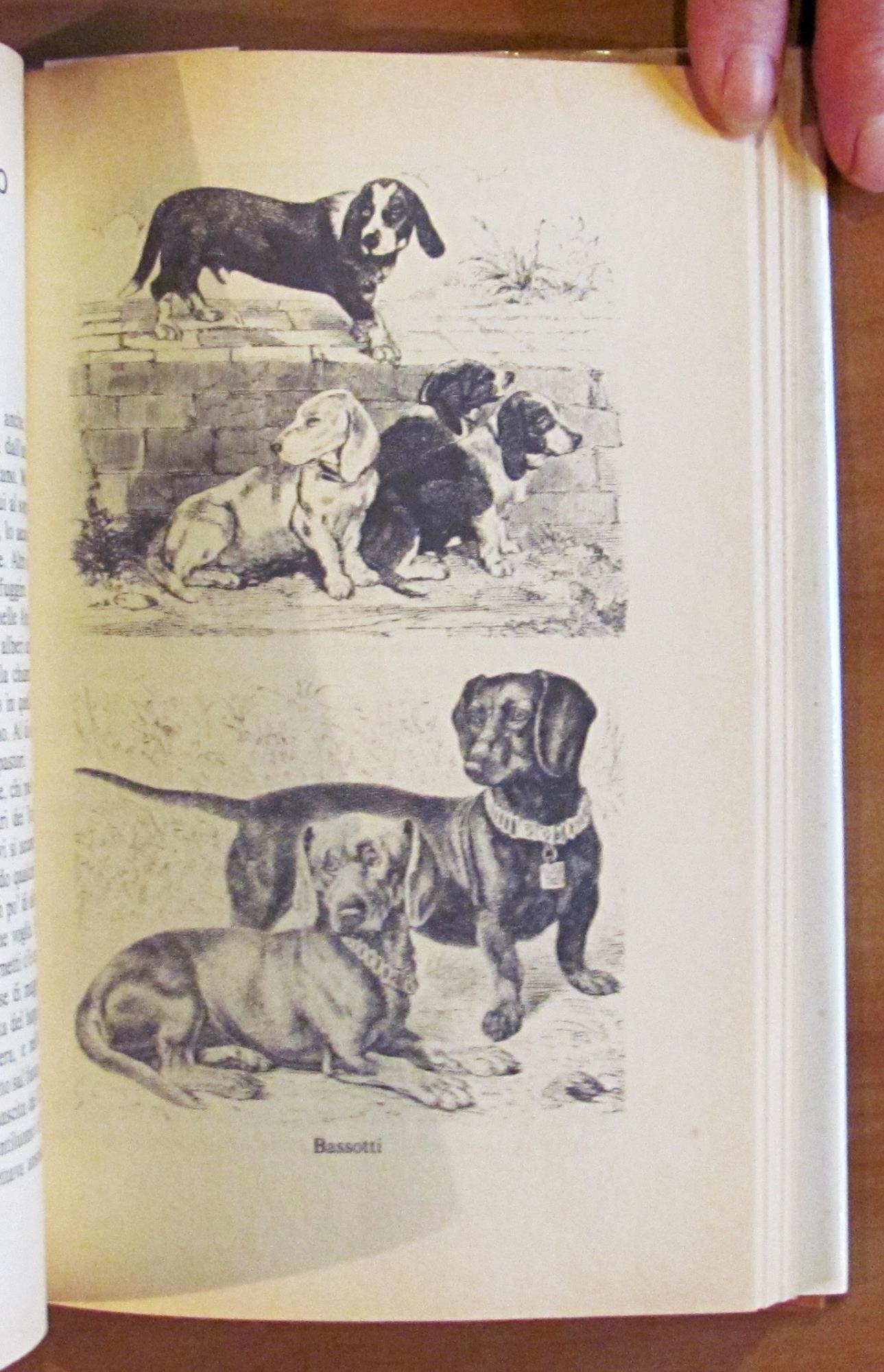 I CANI nella scienza, nella storia, nella leggenda..., I ed. 1983
