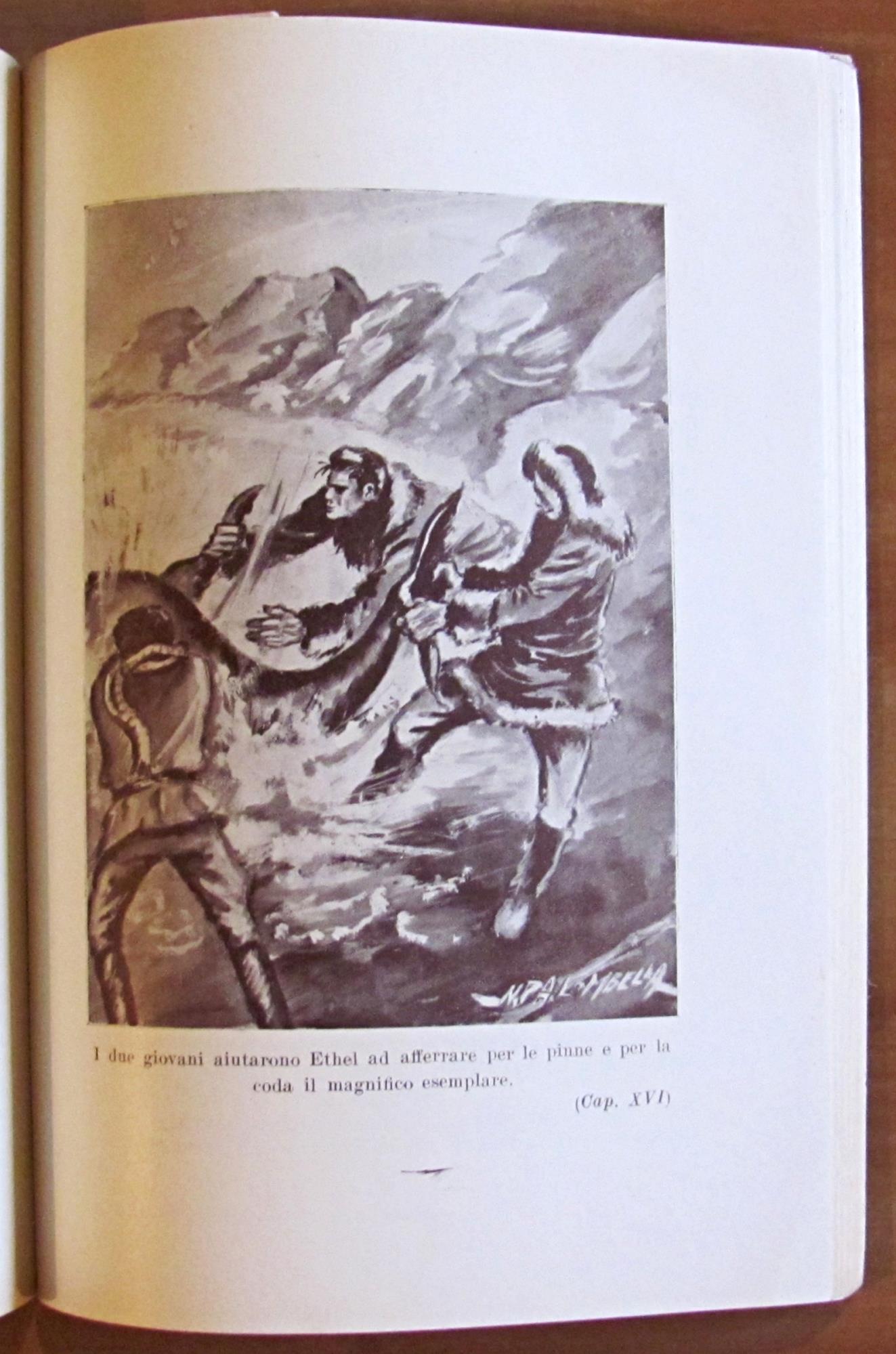 I NAUFRAGHI DELL' HANSA. 1950 -ill. D'AMATO