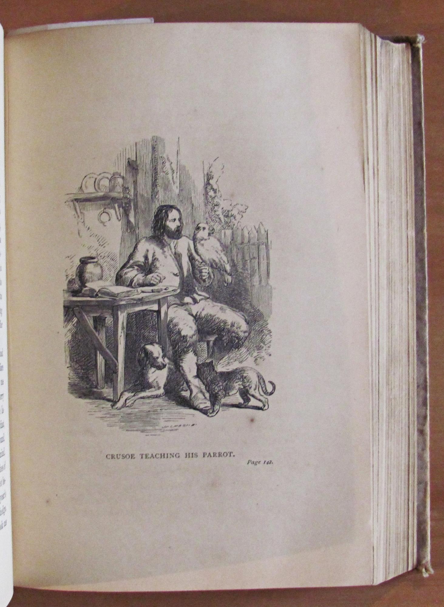 The Life And Strange Surprizing Adventures Of Robinson Crusoe, 1886