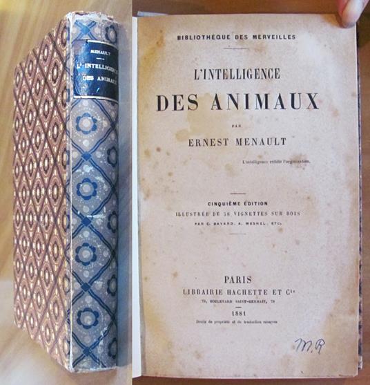 L' INTELLIGENCE DES ANIMAUX - Bibliotheque des Merveilles, 1881 - Ernest Menault - copertina