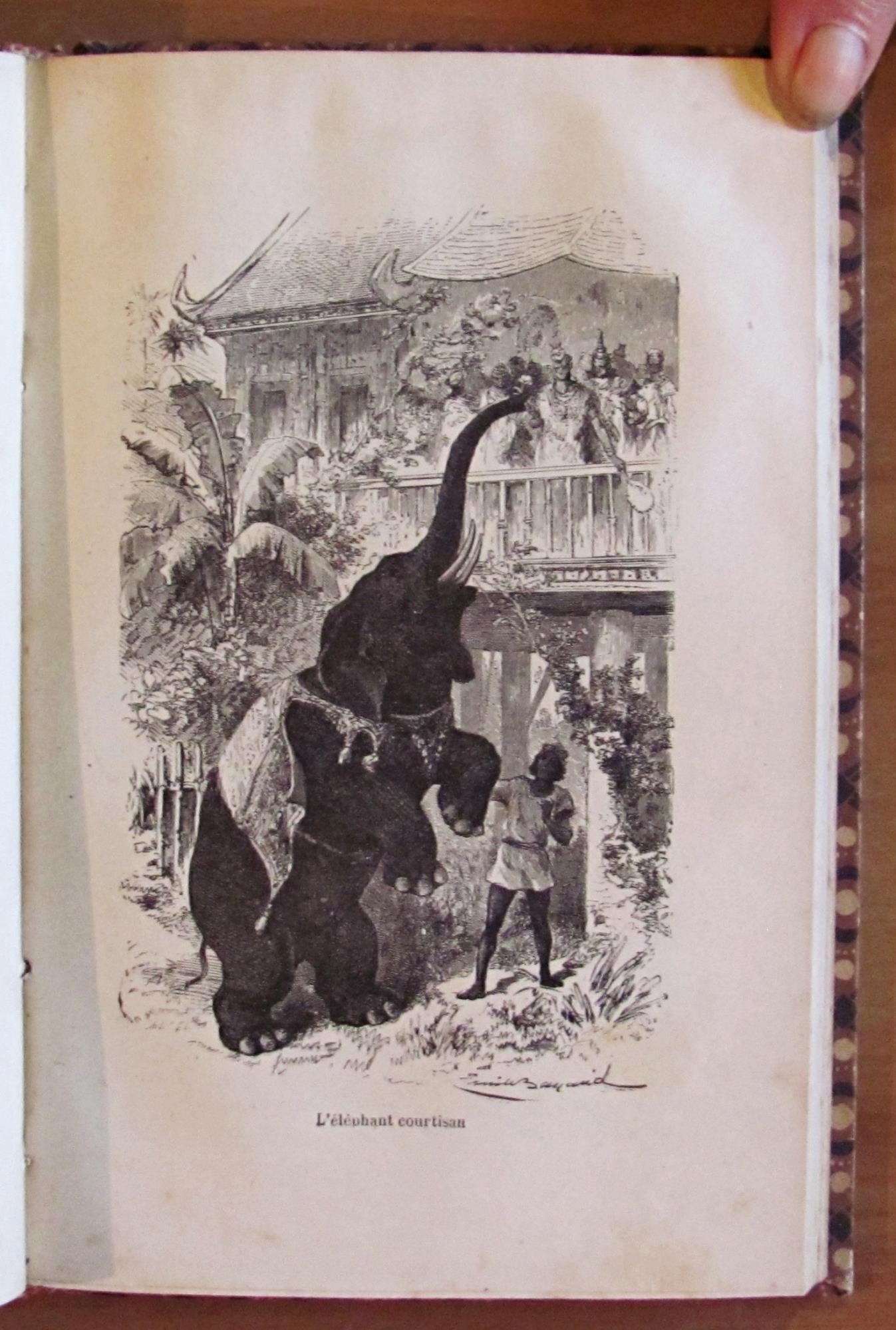L' INTELLIGENCE DES ANIMAUX - Bibliotheque des Merveilles, 1881