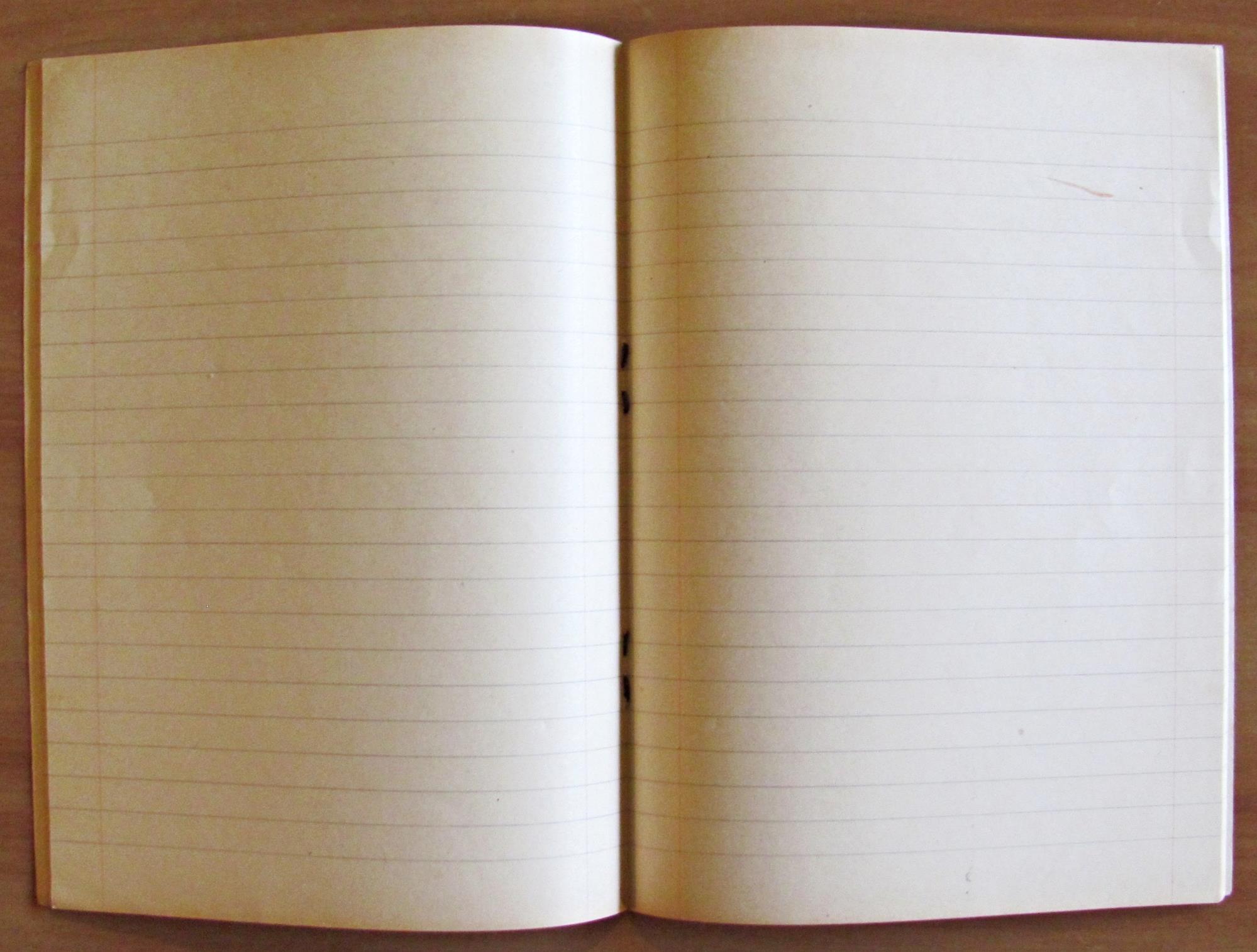 PINOCCHIO N.8 Pinocchio diventa un bambino - Quaderno di 5^