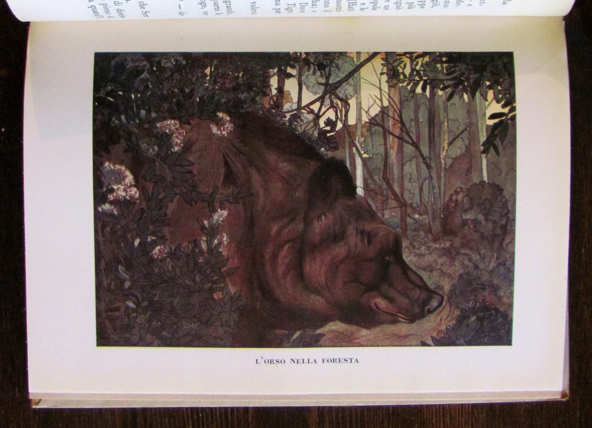 IL PRIMO LIBRO DELLA GIUNGLA, 1950 - ill. DETMOLD