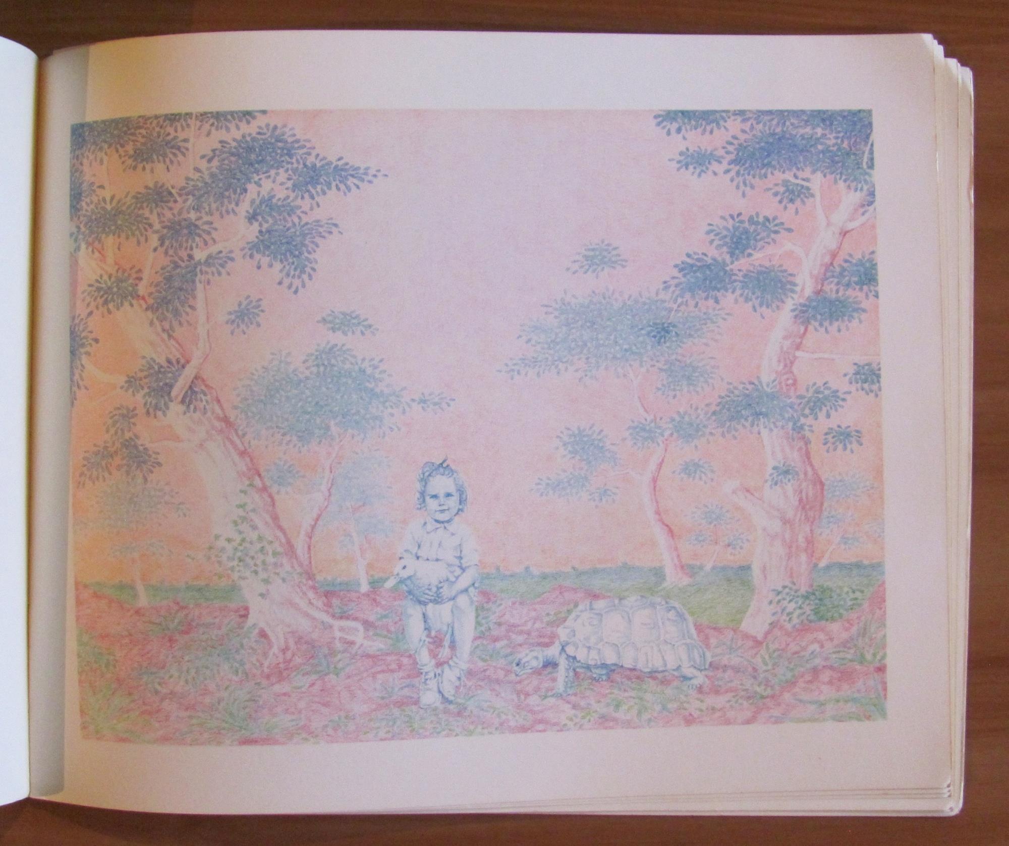 LA NUOVA FATA DAI CAPELLI TURCHINI, 1983 - ill. GRASSO FRAVEGA