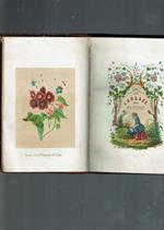 Nouveau Langage Des Fleurs Avec La Nomenclature Des Sentiments 1853