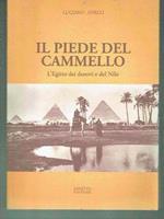 Il Piede Del Cammello ** L'Egitto Dei Deserti E Del Nilo / Luciano Anelli