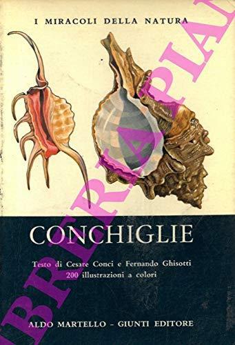 Conchiglie / C. Conci-F. Ghisotti - 2